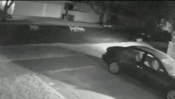 pkg coyote chase surveillance video_00005328.jpg
