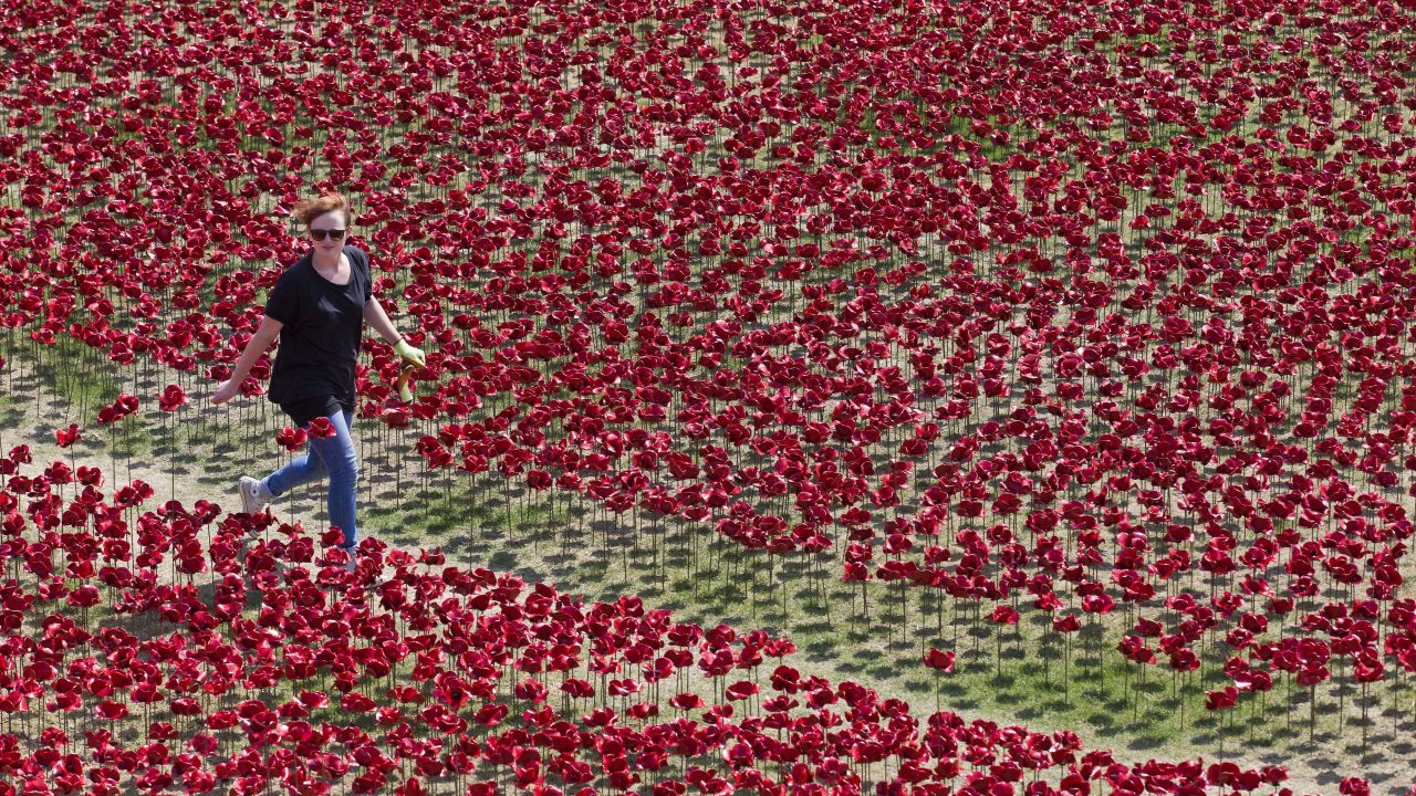 A woman walks through the ceramic poppies on Sunday, August 3.