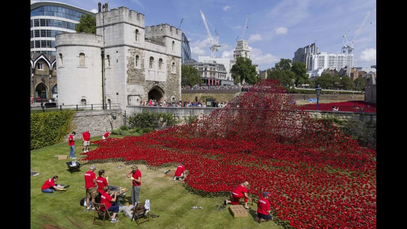 Volunteers install ceramic poppies on August 3.