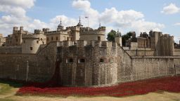 Ceramic poppy installation to commemorate World War I takes shape at the Tower of London.