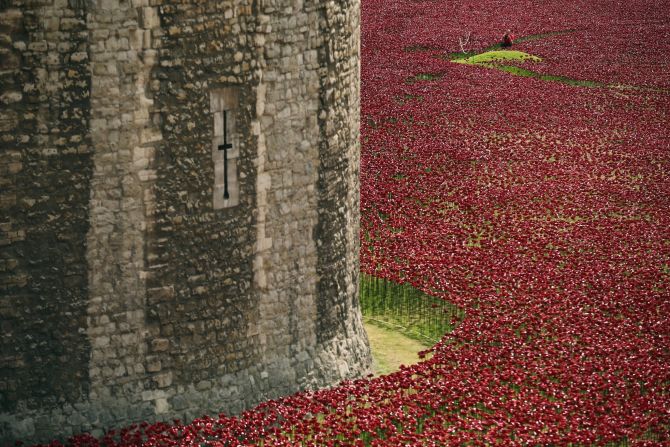 A percentage of money raised from the sale of the poppies will be divided among six UK military charities. 