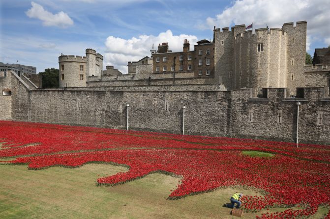 The moving tribute to Britain's military casualties is due to be completed by November 11, 2014 -- the day that commemorates the anniversary of the 1918 cease-fire on the conflict's Western Front and those who perished.