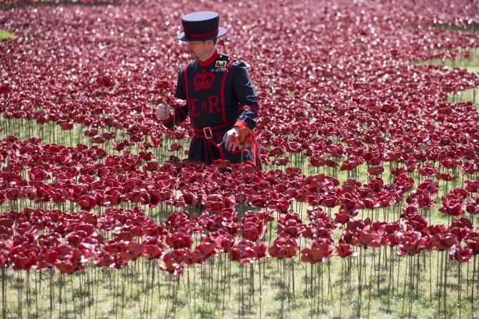 The poppy display reflects the flower's long association with battlefields because they are known to thrive on earth disturbed by conflict. The symbolism was consolidated in the poem "<a href="index.php?page=&url=http%3A%2F%2Fwww.greatwar.co.uk%2Fpoems%2Fjohn-mccrae-in-flanders-fields.htm" target="_blank" target="_blank">In Flanders Fields</a>" by Canadian military surgeon and artillery commander John McCrae.