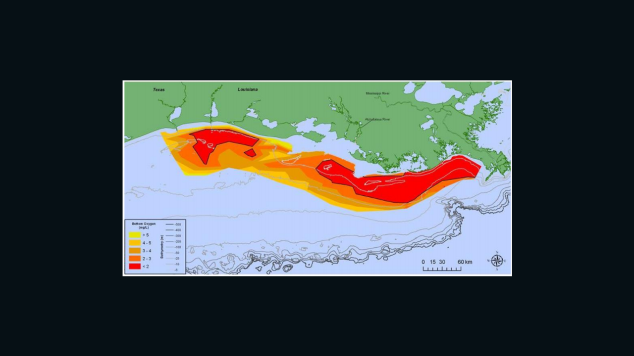 A dead zone in the Gulf of Mexico has formed west of the Mississippi River delta.