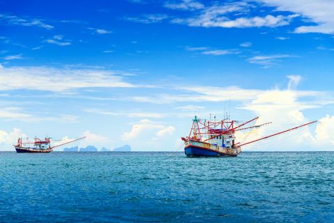 One of the earliest and most successful uses of the advanced technology has been in monitoring illegal fishing, tracking ships to witness crimes in real time.
