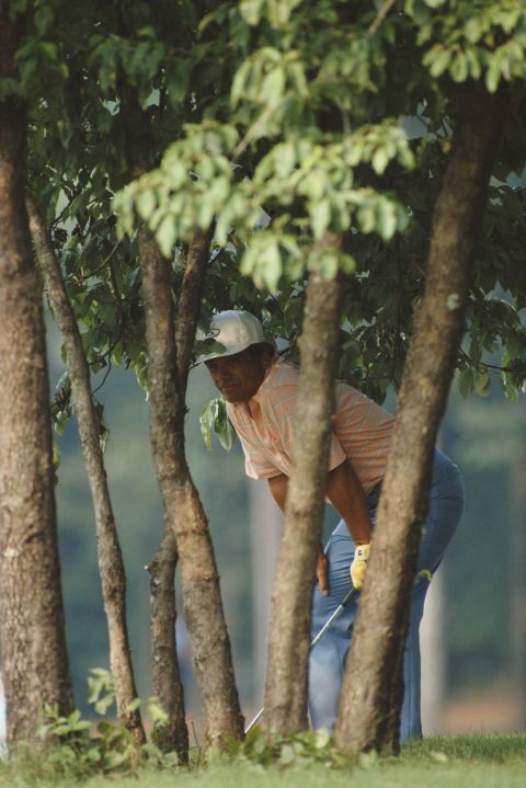 American Lee Trevino peaks out from amidst the trees on his way to glory at 1984 U.S. PGA Championship in Alabama, the sixth and final major success of his illustrious career.<br /><br />"I love the quiet moment of decision," said Cannon. <br /><br />"This is one very rare, quiet moment in the life of one of golf's truly great characters on his way to his final major championship."<br />
