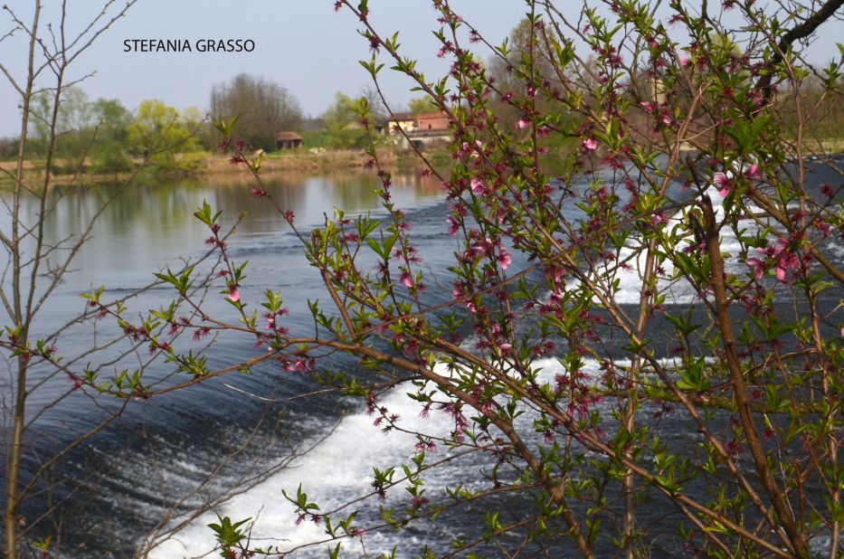 The <a href="http://ireport.cnn.com/docs/DOC-1151004">Sesia River</a> is "a lonely, magic place," said Stefania Grasso, who lives nearby in Vercelli, Italy. She said it's particularly nice in spring. Despite her love of the river's "quiet," the Sesia is a popular destination for white water paddling.