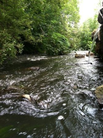 Mary Wallace worries about the well-being of <a href="index.php?page=&url=http%3A%2F%2Fireport.cnn.com%2Fdocs%2FDOC-1158861">Town Brook</a>, a 1.5-mile stream in Plymouth, Massachusetts. When dams were built in the 1790s, the number of migrating fish decreased, according to <a href="index.php?page=&url=http%3A%2F%2Fwww.greateratlantic.fisheries.noaa.gov%2Fmediacenter%2F2014%2Fnoaatownbrook.pdf" target="_blank" target="_blank">NOAA</a>. "Town Brook is a great story of a waterway gone bad and restored to its original state," she said. "Industry dammed the water and prevented fish from entering Billington Sea. Now with the removal of dams, fish are returning and thriving." 
