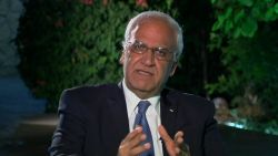 Saeb Erakat Chief Palestinian Negotiator