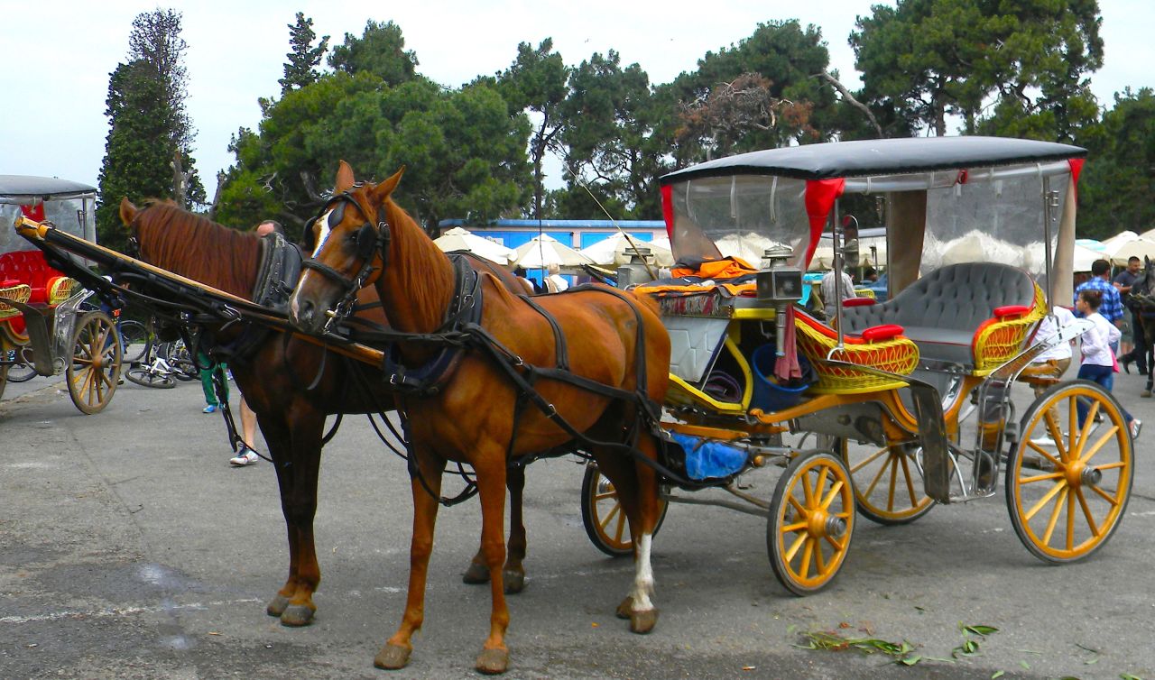 Horse-drawn carriages known as fayton are a popular way of getting around Buyukada island near Istanbul.