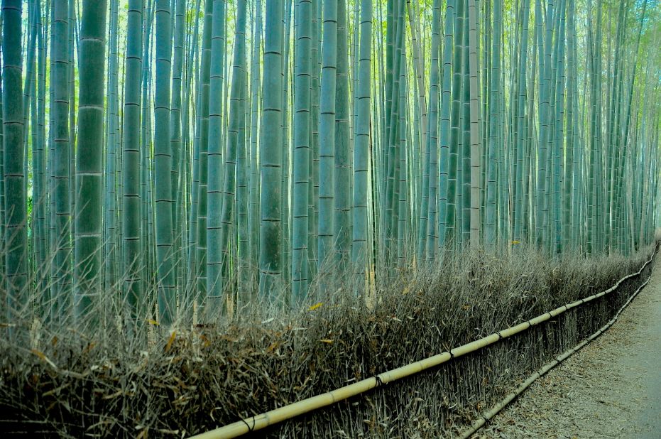<strong>Nothing goes to waste:</strong> The railings and fences through the Sagano Bamboo Forest are made of dried bamboo stalks and leaves that have already fallen from the plants. 