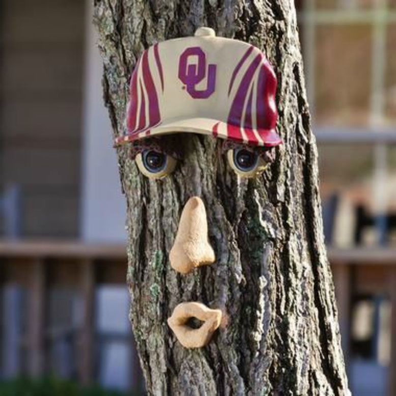 News that the quirky in-flight retailer has filed for bankruptcy has us wondering where we're going to get our Sooner-approved tree faces?