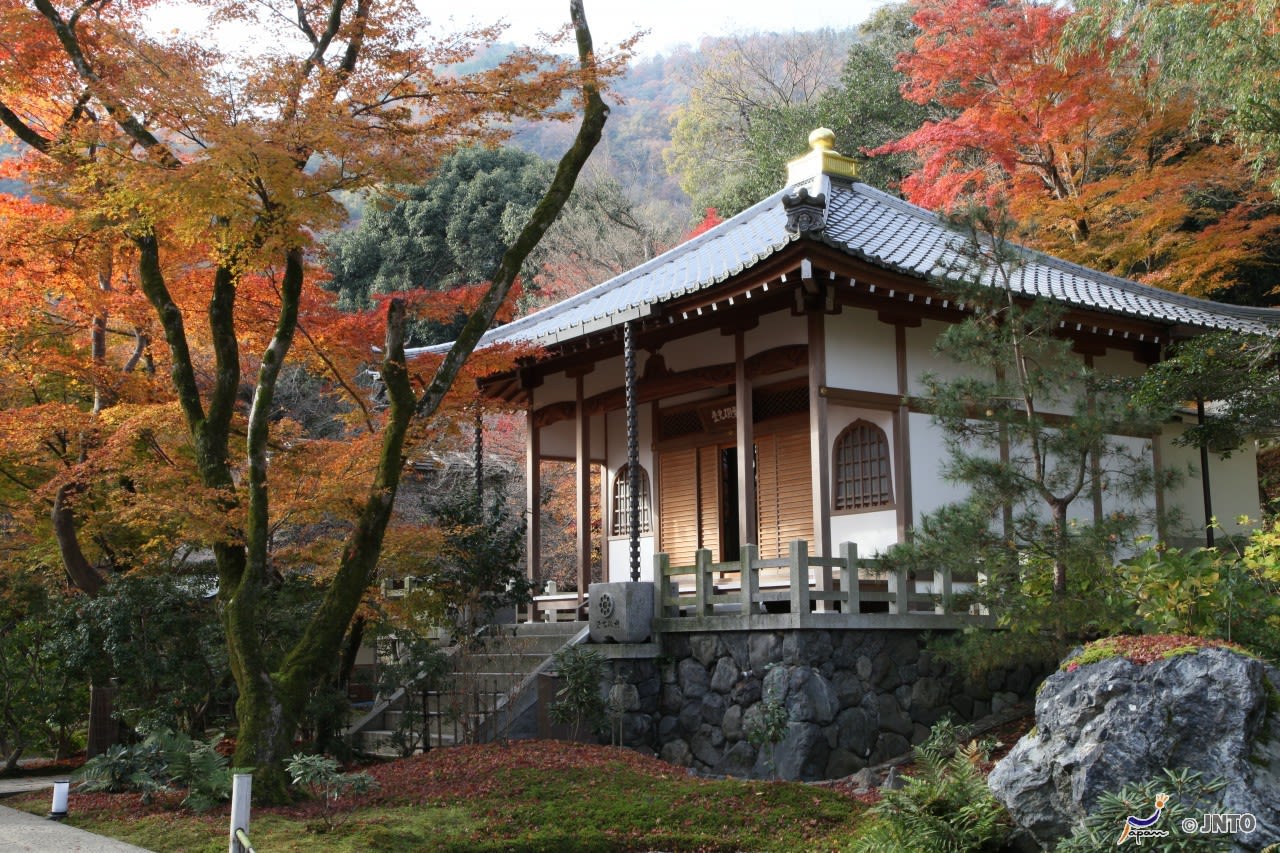 <strong>Tenryu-ji Temple:</strong> Hogon-in Temple is found inside Tenryu-ji, a UNESCO World Heritage Site and one of the five major temples of Kyoto. It's located near the entrance of the Sagano Bamboo Forest.  