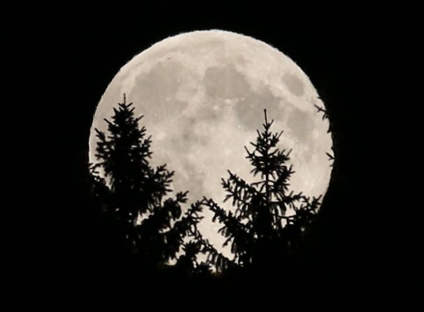 The full moon peeks through trees in woods near Rasing, Austria.