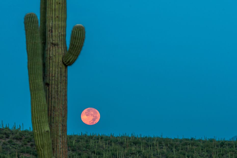 <a href="http://ireport.cnn.com/docs/DOC-1160275">Bradley Owens</a> woke up at 3 a.m. to execute this colorful photo of the supermoon in Tucson, Arizona, on Sunday. "The timing was perfect with the sun rising behind me with a few mountains to shield the direct sunlight," he said. "This helped the sky be as blue as it was with the perfect orange glow to the moon itself.  It was much more beautiful in person and very majestic!"