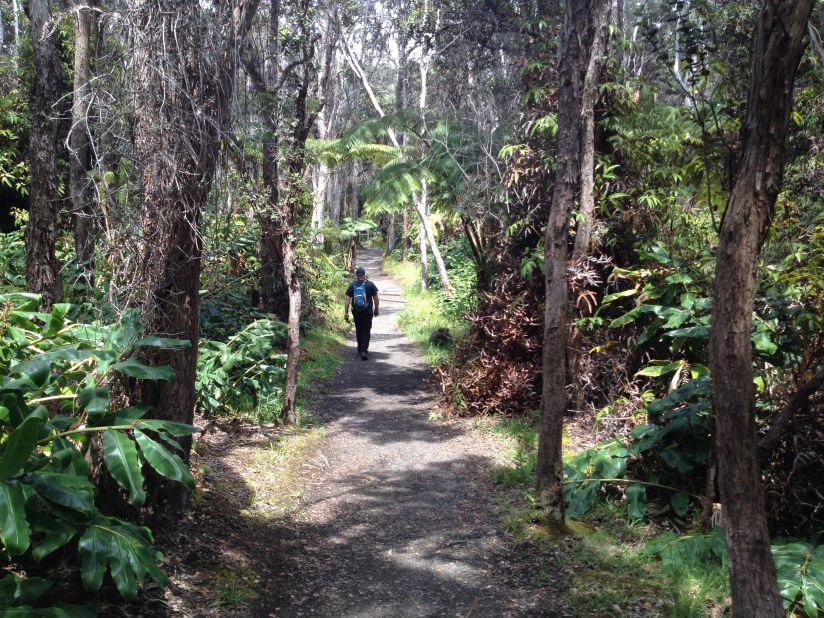 The sprawling trails of <a href="http://ireport.cnn.com/docs/DOC-1122262">Hawaii Volcanoes National Park</a> will lead visitors to some of the island's most diverse ecosystems, filled with <a href="http://www.nps.gov/havo/naturescience/index.htm" target="_blank" target="_blank">native terrestrial flora</a> and fauna. 