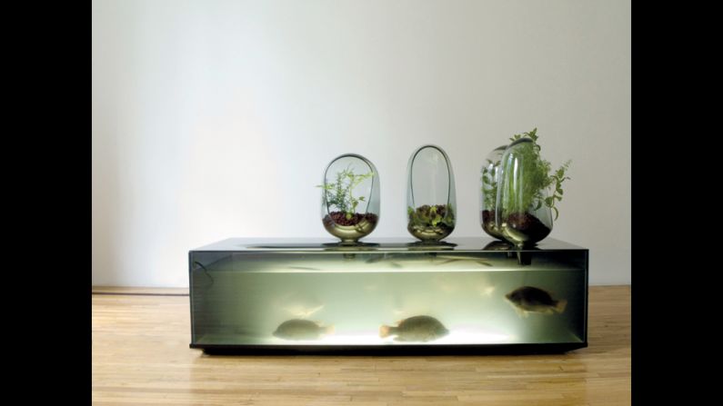 The avant garde designer Mathieu Lehanneur has created a concept called Local River, in which a home aquarium produces both fish and plants that can be killed and eaten