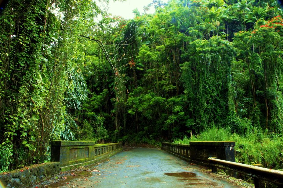 This <a href="http://ireport.cnn.com/docs/DOC-1149171">moss-covered bridge </a>stretching into the thick canopy of tropical forest leads out to <a href="http://www.gohawaii.com/big-island/guidebook/topics/parks" target="_blank" target="_blank">Laupahoehoe Point Beach Park</a> on the Big Island's east coast. 