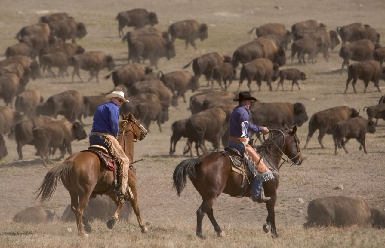 <strong>Buffalo round up (South Dakota)</strong>: This ground-shaking spectacle takes place in September in Custer State Park, home to the world's largest publicly owned bison herd (there are 1,300 of the beasts). If you want to take part, there are 20 riding places open to the general public.