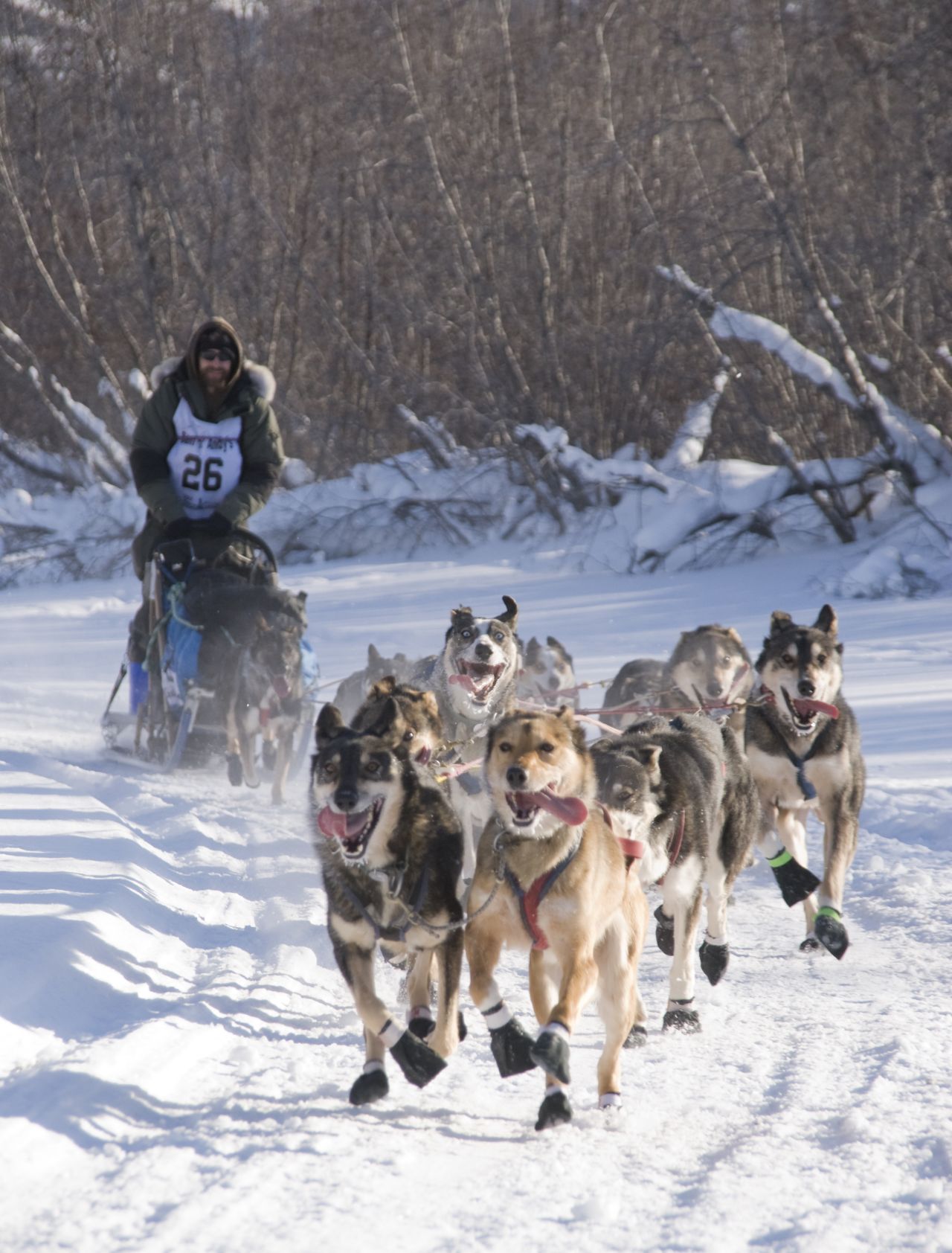 <strong>Dog mushing (Canada)</strong>: When your team of faithful friends aren't whizzing you across Yukon's ice plains, you'll sleep in a tent with a wood stove, in a throwback to the days before commercialized mushing tours "softened down for the arm-chair traveler," says the company.