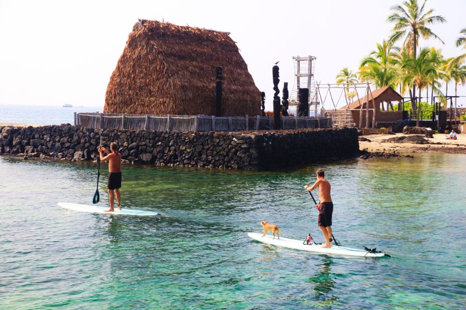 <a href="http://ireport.cnn.com/people/Kalalau123">Paddle boarding</a> is a popular pastime on the Big Island. Here, two adventurers and a four-legged companion drift gently through the calm waters of Kailua Bay in Kona.