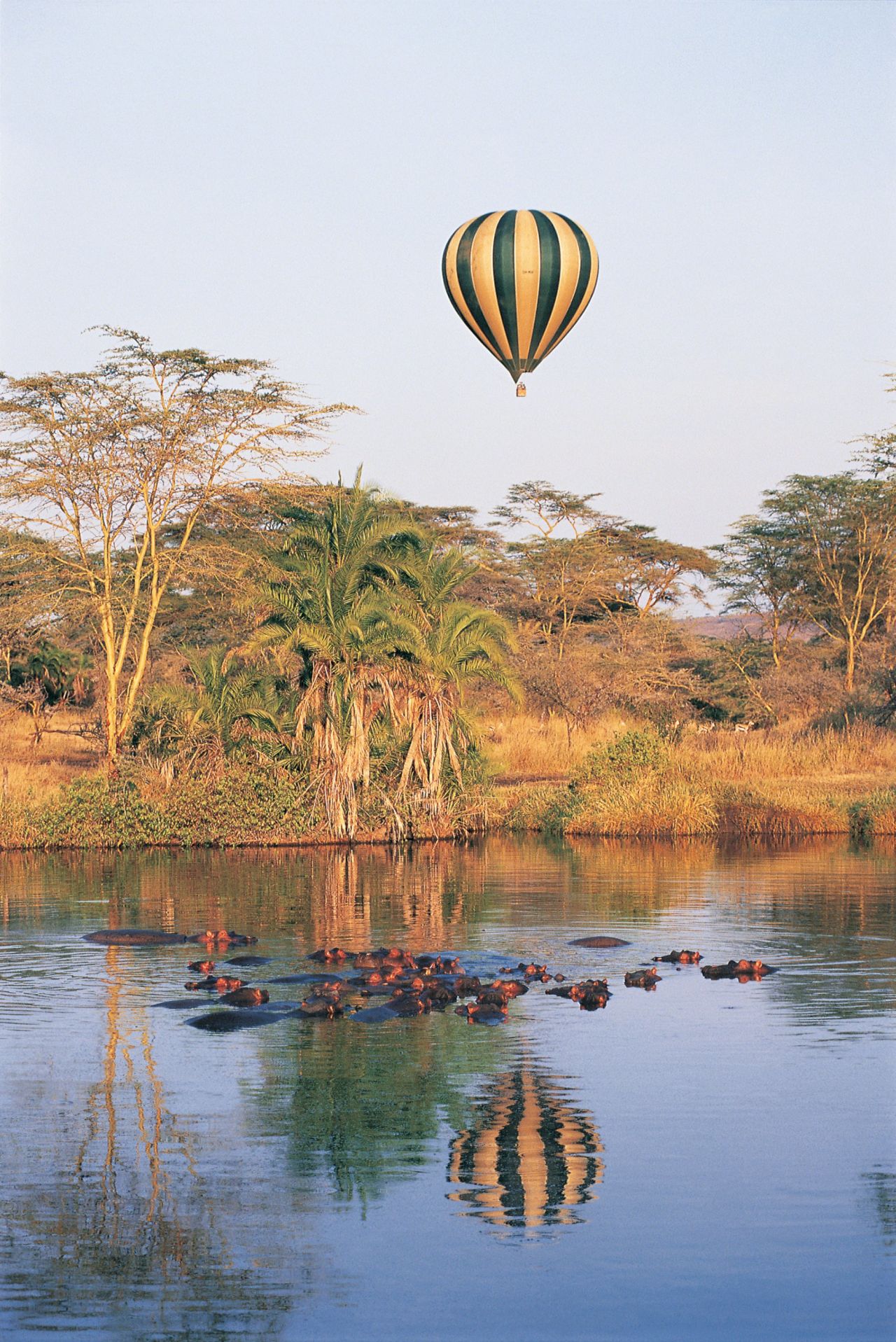 <strong>Serengeti balloon safari (Tanzania)</strong>: This hot air balloon ride over the Serengeti gives amazing views of the great migration and African bush without the unwanted dust bath. 