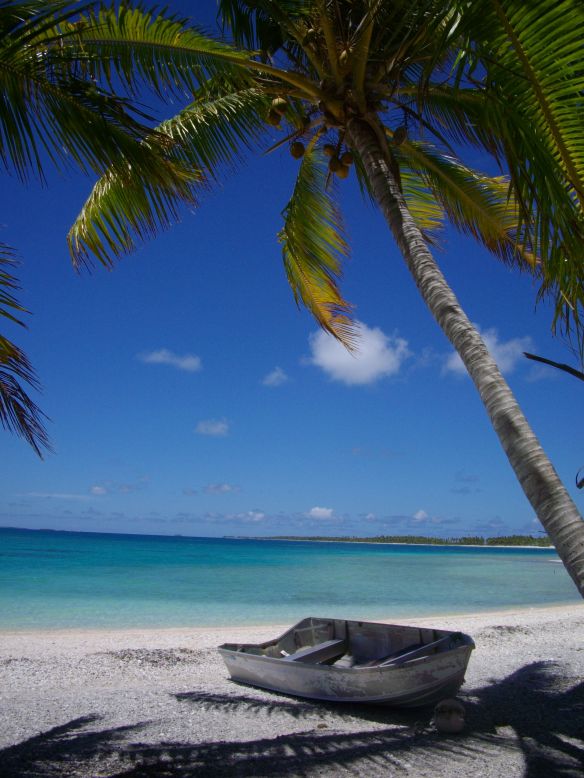 Coconut palms cover the beaches of Puka Rua Atoll. You can rub your eyes as many times as you want, this place is real.