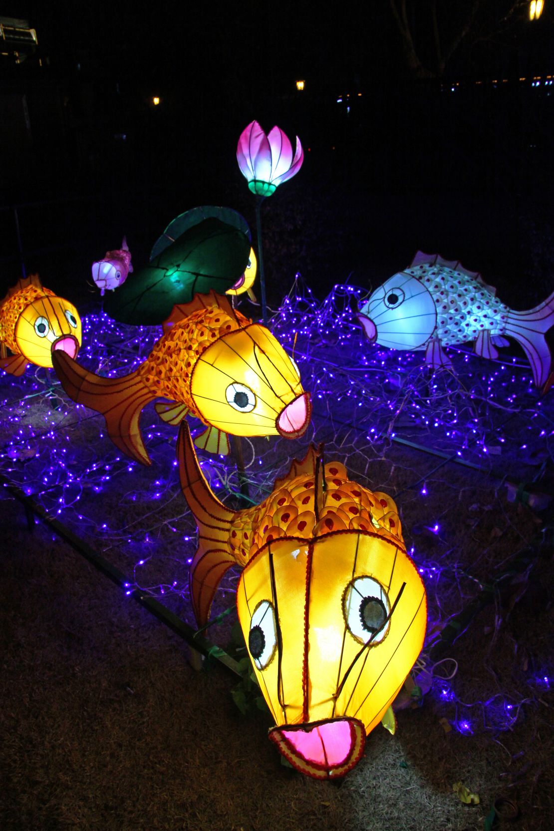 Lantern display during a 2012 Lunar New Year festival.