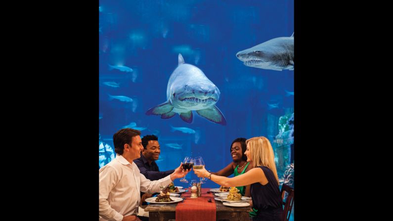 Dining on a rock, dining inside an ancient cave, how about dining also with sharks? The Durban-based Cargo Hold restaurant is built in a replica ship, with tables next to a wall-sized shark aquarium.