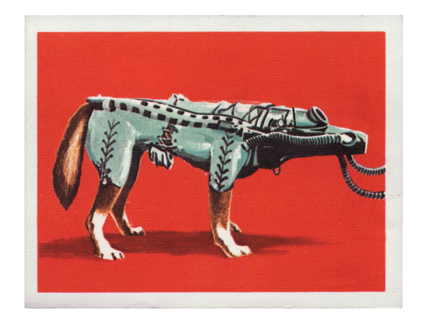 Laika soviet clearance space dog