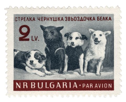 This stamp shows a group portrait taken at the press conference held on 28 March 1961. It's Bulgarian, dating from when it was a satellite of the Soviet Union.
