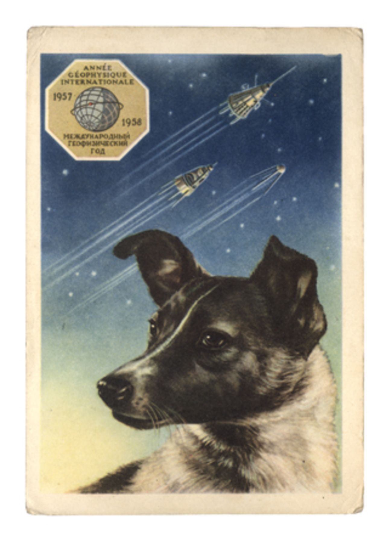 Laika became a national treasure, a sort of martyr for the USSR. As such, the celebrity dog would appear on a range of posters, toys and stamps. This is a portrait of Laika on a postcard (1958) by the artist E. Gundobin, with the first three Sputniks in the background. <br />