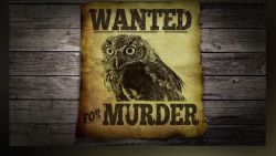 erin pkg moos owl murders canary_00000320.jpg