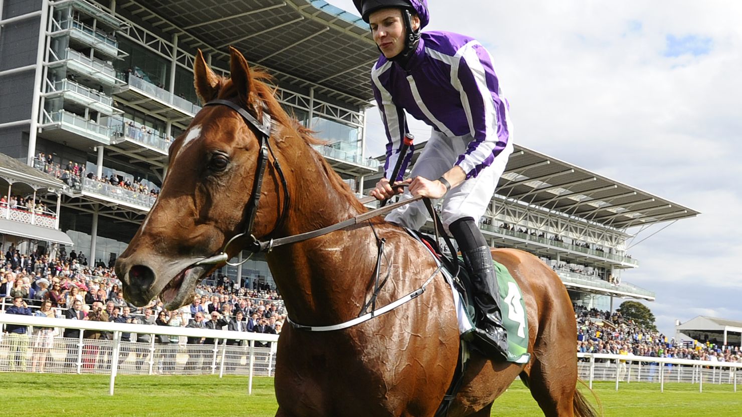 Joseph O'Brien and Australia return after winning the Juddmonte International Stakes at York racecourse on August 20.