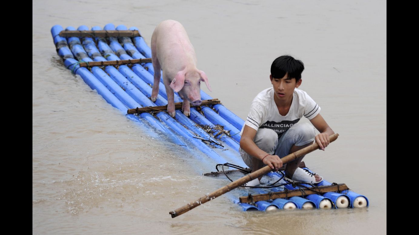 A man rows a makeshift raft as he and a pig travel through a flooded village in Lishui, China, on Wednesday, August 20.