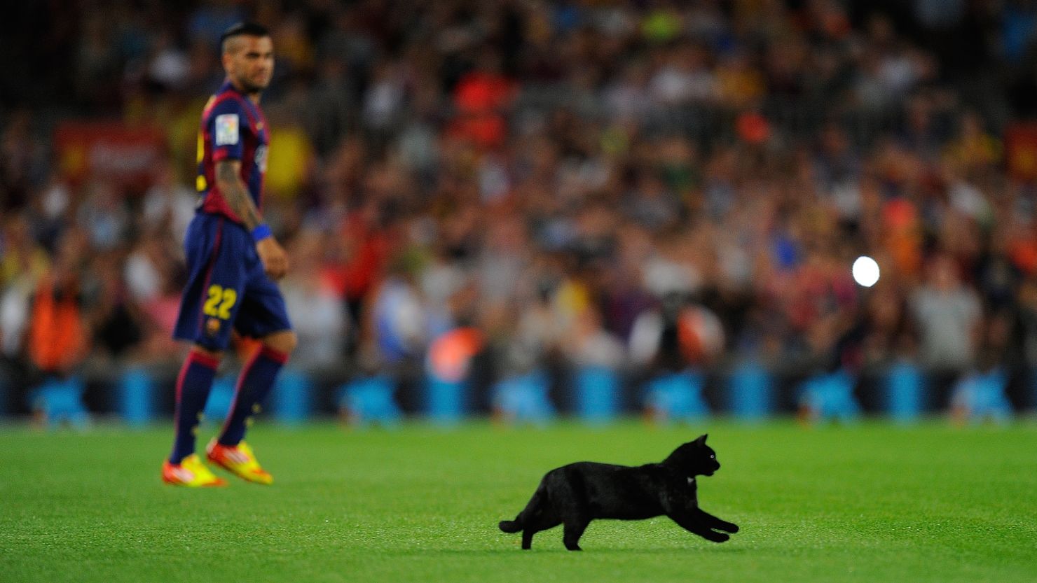 A black cat inavded the pitch before the Barca game, but brought no bad omesn as they won 3-0