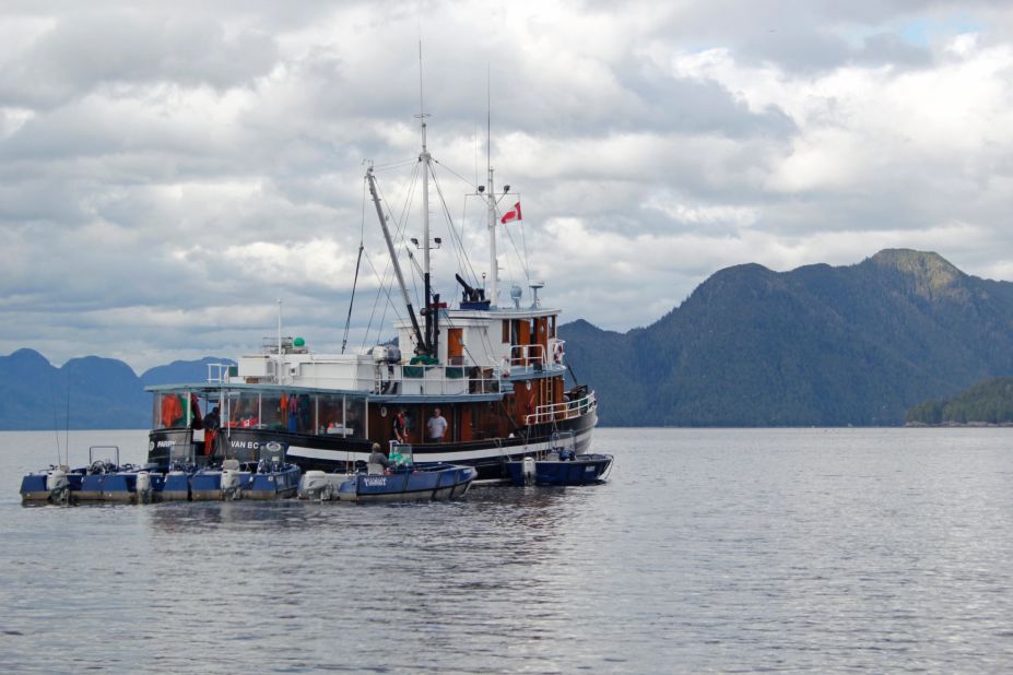 MV Parry is the mothership of Westwind Tugboat Adventures in British Columbia. The refurbished, wooden 1940s tug is a kind of floating fishing lodge for guests.