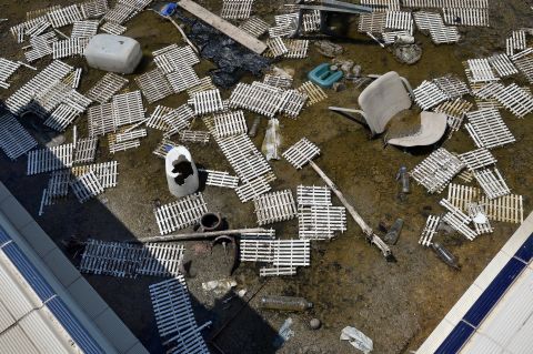 This swimming pool in the Olympic Village has been left to rot over the past decade.