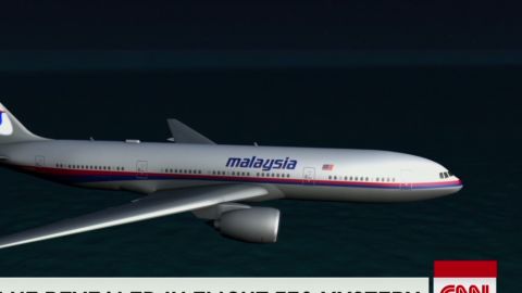 dnt marsh mh370 new clue_00013905.jpg