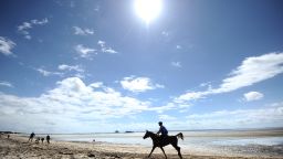 A rider takes part in the 160 km endurance competition of the 2014 FEI World Equestrian Games near Mont-Saint-Michel on August 28, 2014 in Genets, northwestern France