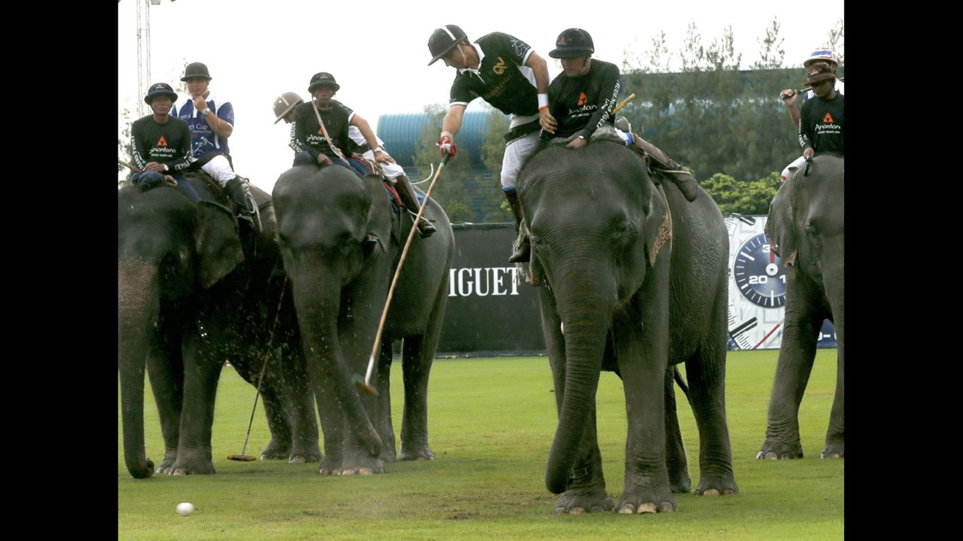 Players compete in the finals of the King's Cup Elephant Polo Tournament on Sunday, August 31, near Bangkok, Thailand. Sixteen teams representing 40 nations took part in the charity event, which raised money for elephant conservation.