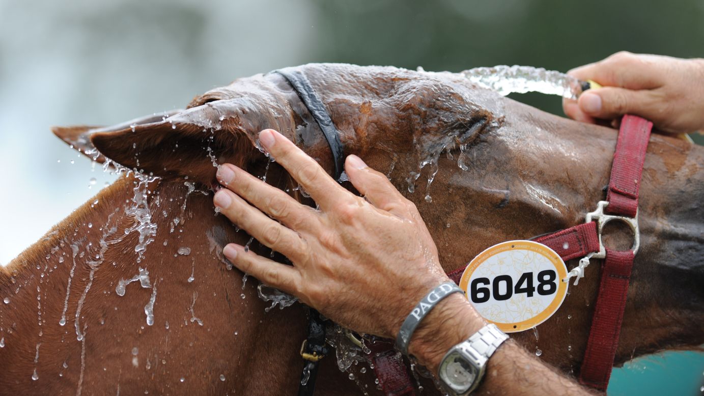 A horse with the Costa Rican team is hosed down Thursday, August 28, at the World Equestrian Games in Normandy, France.