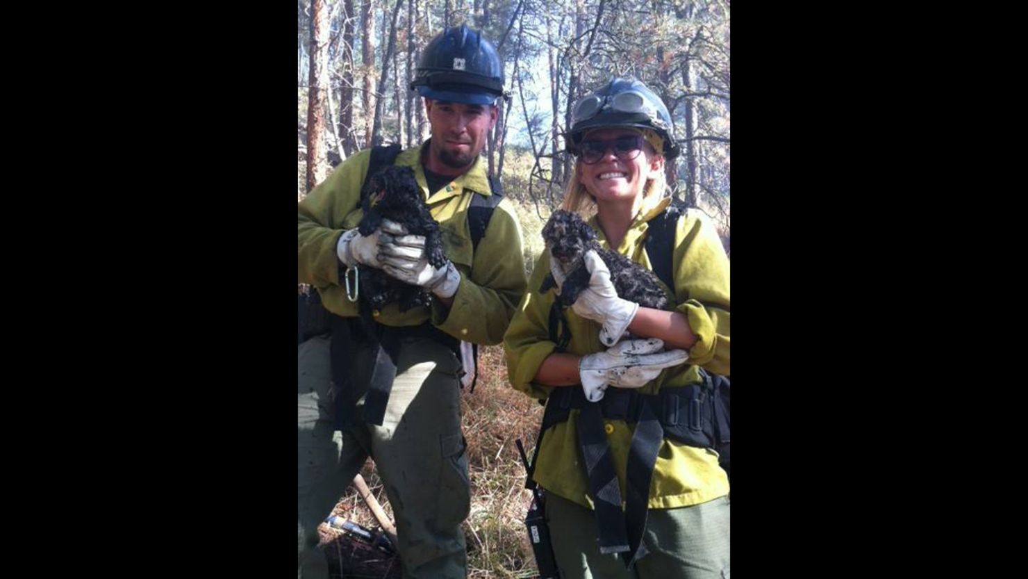 Jared Chandler and Sara Steele cuddle two mountain lions cubs saved from the fire. They were found under a burning log.