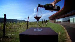 spc elite escapes tuscany wine tasting_00011805.jpg