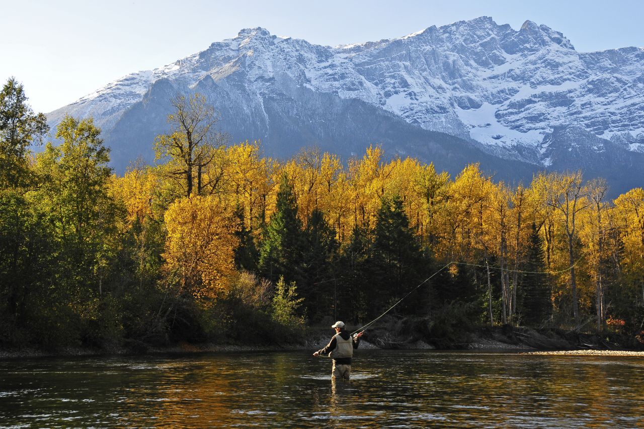 Trout can be caught year round in the Bella Coola Valley. If you're going to test your patience with fishing, you should also have a majestic scene in the Atnarko River to enjoy.