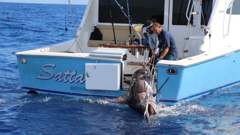 Swordfish Caught in Inflatable Boat