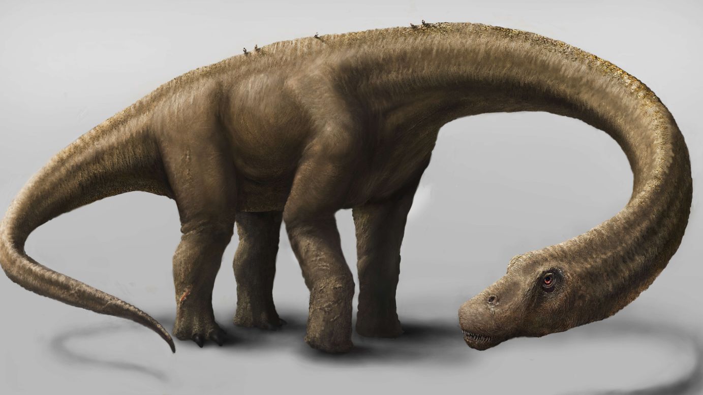 Paleontologists estimate the Dreadnoughtus schrani specimen unveiled Thursday was about 85 feet long and weighed about 65 tons.<br />