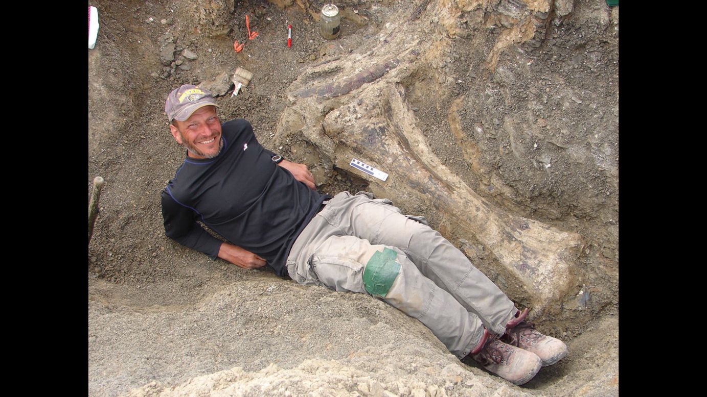 Ken Lacovara, a Drexel University professor and the lead author of the study announcing the discovery, lies besides a massive tibia. He said the Dreadnoughtus schrani would have had "a lifelong obsession with eating" in order to grow as big as it did.