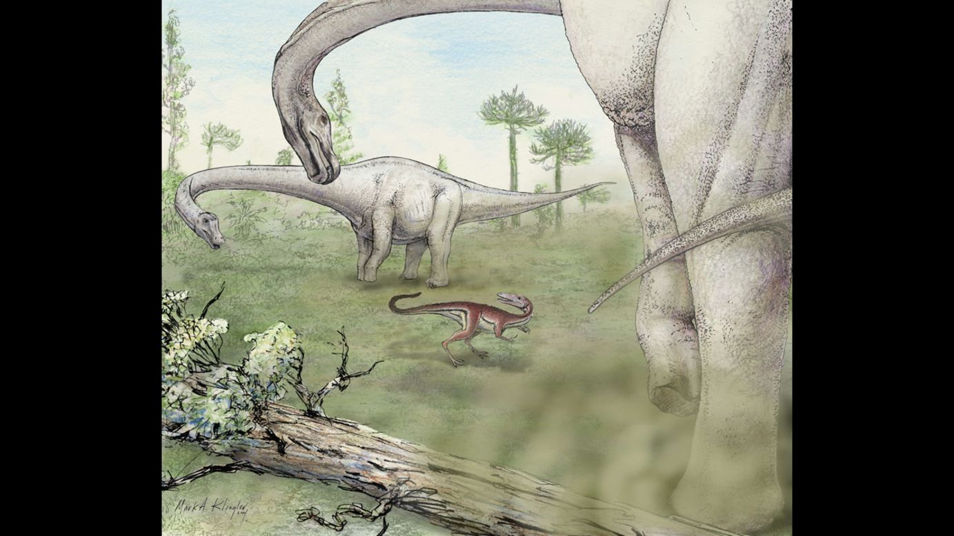 The Dreadnoughtus schrani lived in the Upper Cretaceous period, or between 100 and 65 million years ago, and towered over everything in sight.