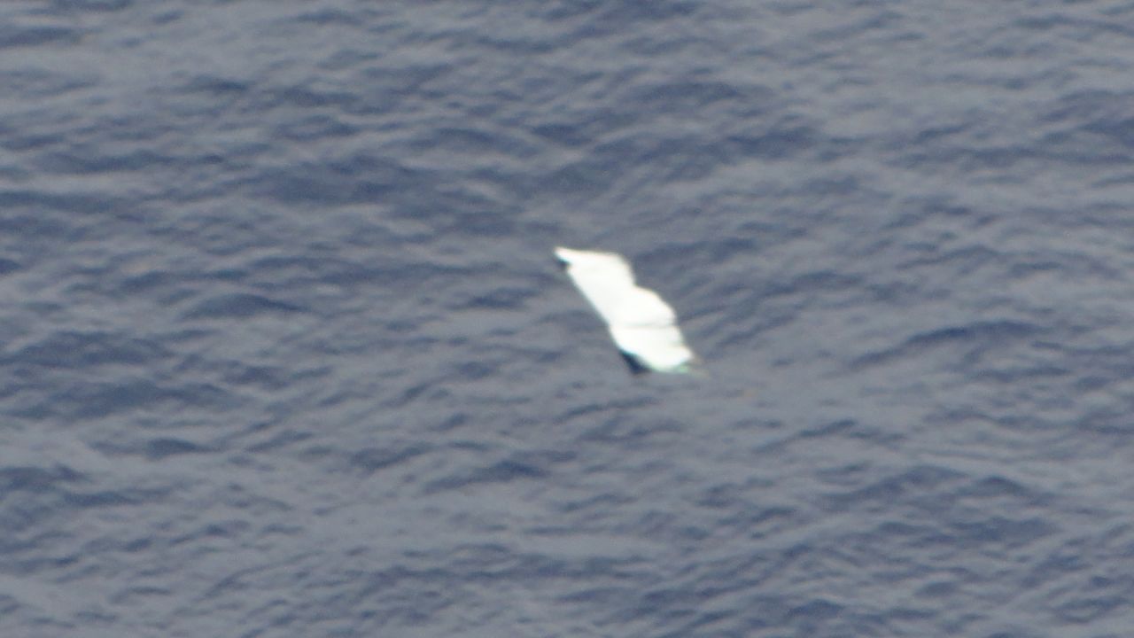 A photo shows what is believed to be possible debris.